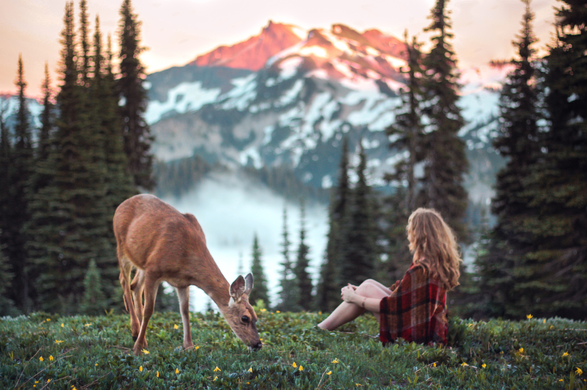 Фотография иллюстрация. Элизабет Гэдд. Фотограф Lizzy Gadd. Гармония природы. Человек и природа.