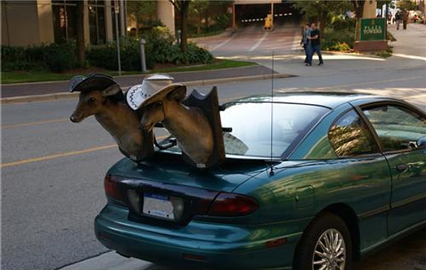 19. Те, кто едет сзади, веселятся от души!