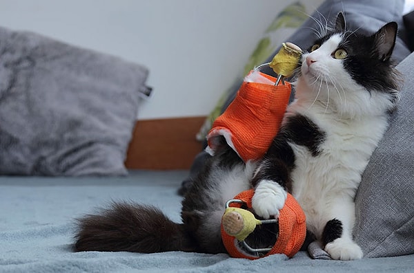 4. Невероятно!