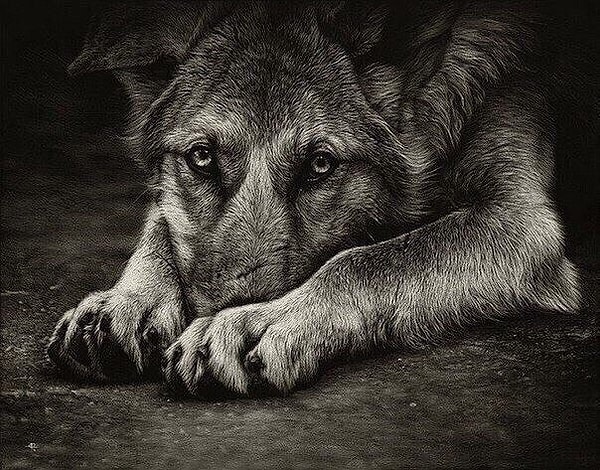 16. Не судите по внешности. За бедной одеждой может скрываться богатое сердце.