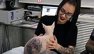 Кот в законе: хозяин сделал коту-сфинксу тату на криминальную тематику!