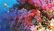 10 Most Colorful Places On This World!
