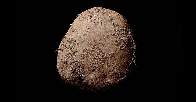 Tabii beğenmekle kalmayıp, istiyor da. İki hafta içinde bir fiyat etiketi belirleniyor ve Fransız iş adamı 1.5 milyon dolara Potato #345'e sahip oluyor.