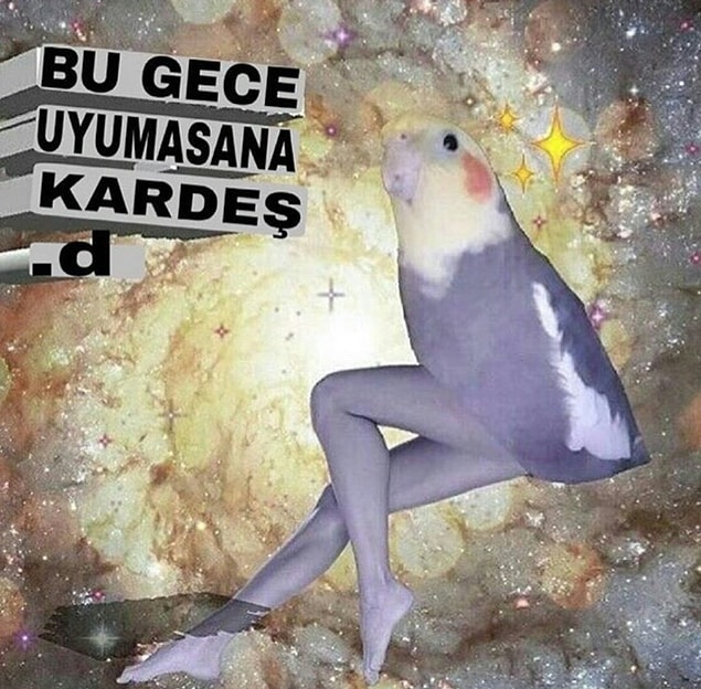 9. Seksi