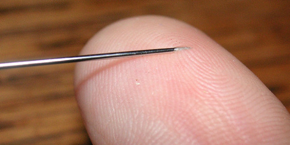 Если вы не сможете досмотреть эти фото до конца, то у вас трипанофобия