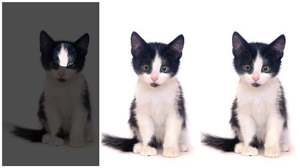 Показать правильный ответ