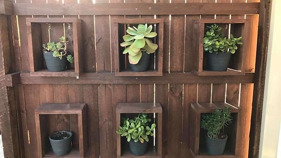 Sosyal Medyanın Yeni Fenomeni: Saksıda Saklanan 1.8 Metrelik Yılanı Görebilir misin?