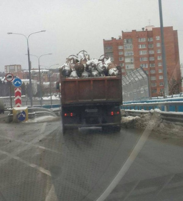 10. Коровы.rar