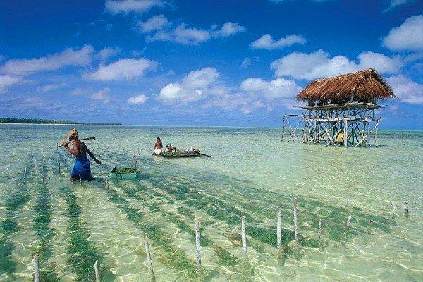 Düşük deniz seviyesinden dolayı geleceği tehlikede olan Kiribati adaları, kısıtlı kaynakları nedeniyle 107.000’lik nüfusuna rağmen zor zamanlar geçiriyor.