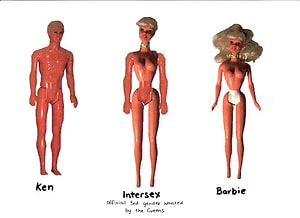 Intersex E621