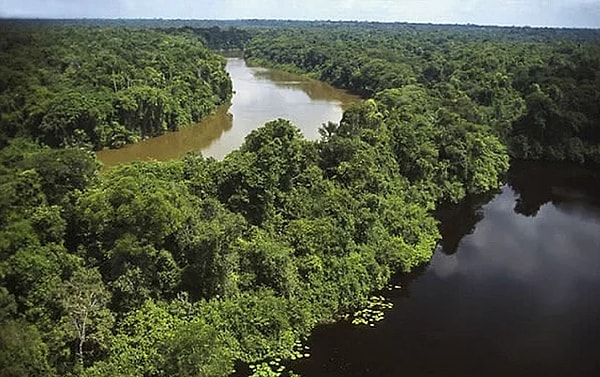 5. Он пробирался в одиночестве более 800 км через опасные джунгли Амазонки, наполненные ядовитыми пауками, змеями, кайманами и ягуарами.