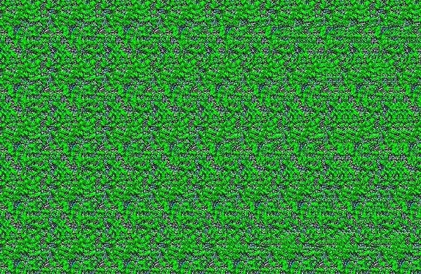 6. Можете ли найти скрытый рисунок здесь?