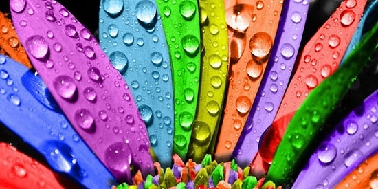 Tercih Ettiğin Renk Tonlarına Göre Seni Sana Anlatıyoruz!