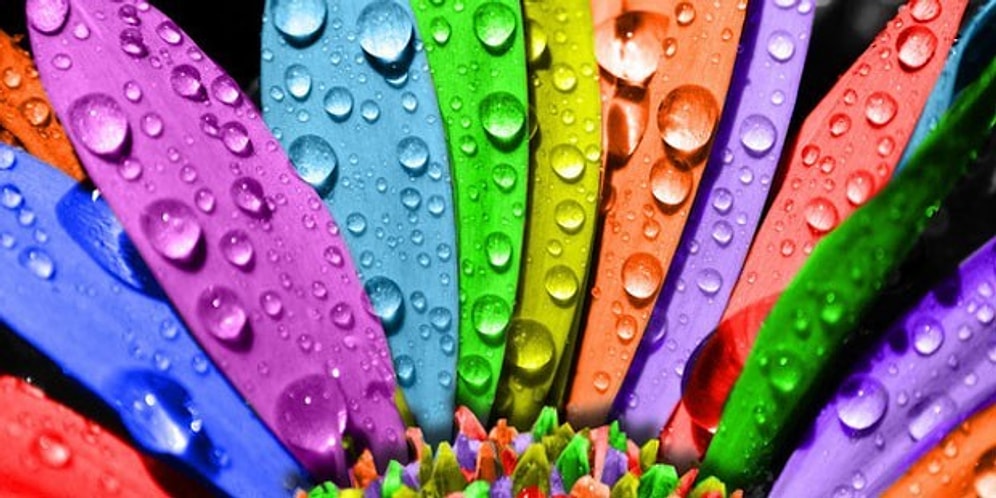 Tercih Ettiğin Renk Tonlarına Göre Seni Sana Anlatıyoruz!