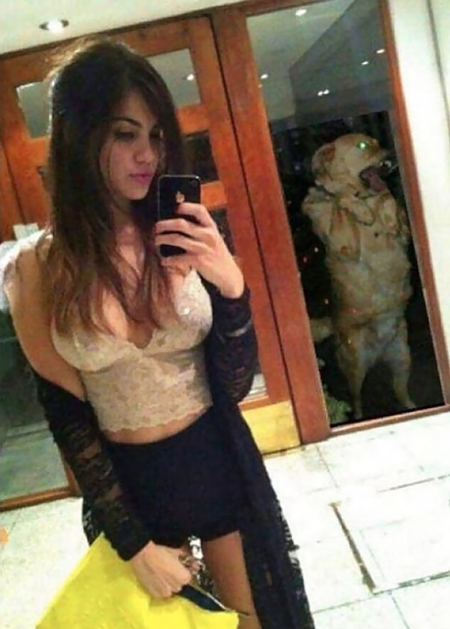 A dog criticizing its human