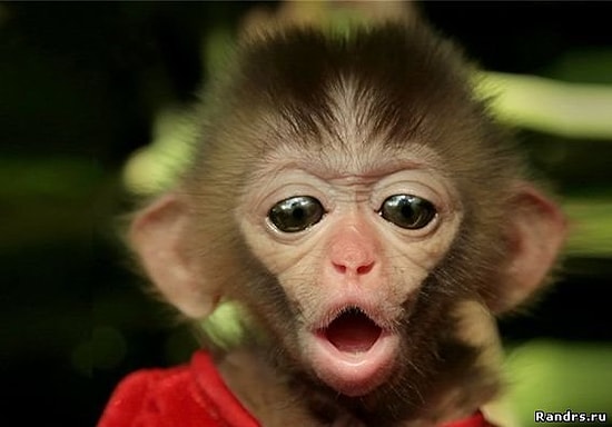 5 лучших статей с onedio.ru за воскресенье!