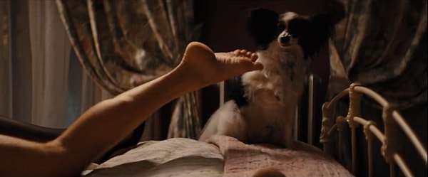 12. Во время первой интимной сцены между Джорданом и Наоми возникли проблемы с тем, чтобы заставить собаку запрыгнуть на постель и укусить Ди Каприо. Проблему решили нестандартно: Лео между пальцев ног засунули кусочек куриной печени.