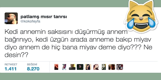 Kedileriyle Yaşadıkları Komik Anları Paylaşarak Herkesi Güldüren 15 Kedisever