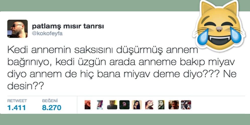 Kedileriyle Yaşadıkları Komik Anları Paylaşarak Herkesi Güldüren 15 Kedisever