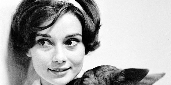 14. "Бывает так, что наши сердца разбивают. Но не стоит отчаиваться или опускать руки. Вам обязательно повезет и вы найдете того, кто будет ценить вас"