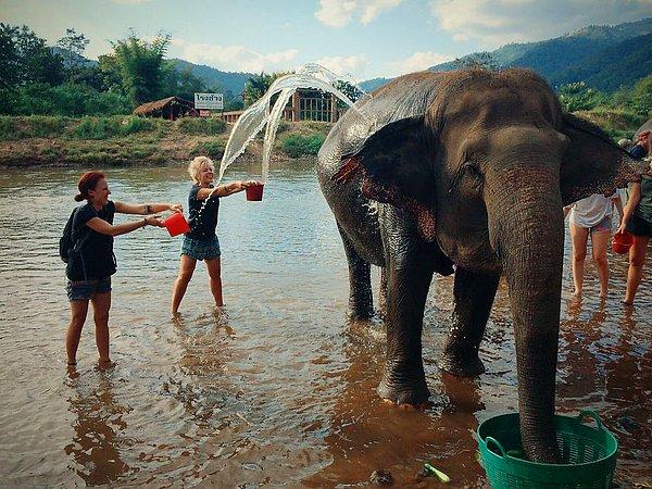 Bu deneyimin en ilgi çeken yanı ise, fillerin nehir kenarında gerçekleşen günlük banyo zamanları olsa gerek.