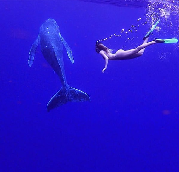 5. Путешествуя, она делает такие фото, встретить которые можно нечасто: Сара позирует с различными животными, и ей не занимать смелости в этом!