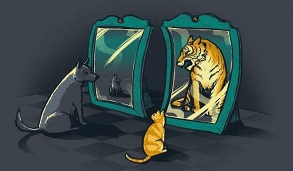 7. Что вы думаете по поводу своей самооценки?