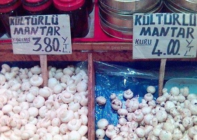 12. Kuru olunca fiyatın artması?