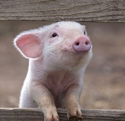 s-2842fc08ae708f40afe0177a347f2b4658da03