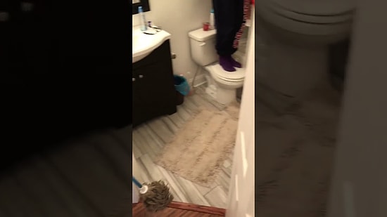 Враг будет разбит: операция по изгнанию мыши из дома 😂