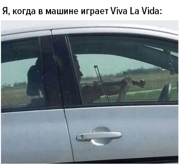 5. Все так делают