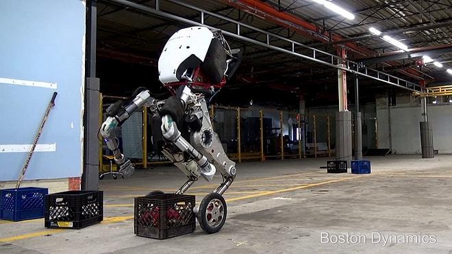 Boston Dynamics, Yük Taşıyabilen ve Sıçrayabilen Yeni Robotunu Tanıttı: Handle