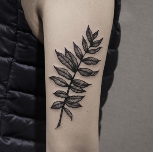 When possible, you should choose a plastic surgeon the same way you’d choose a tattoo artist.
