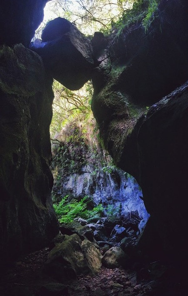 11. Вход в пещеру повторяет силует кота.