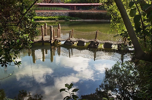 A teen drowned trying to swim from Tom Sawyer Island back to the main Disneyland Park.