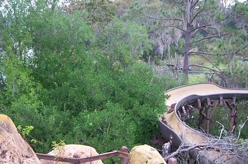 There’s an abandoned water park at Disney World, and allegedly music still plays over the loudspeakers.