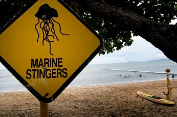 1. Пляжи Квинсленда и островов Тиви (Австралия)