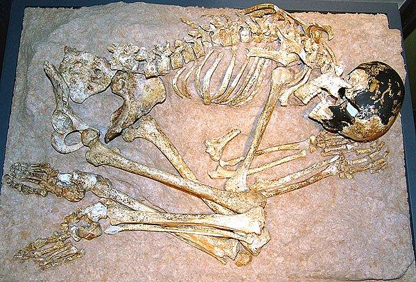 Paleolitik dönemden günümüze ulaşmış en bütün insan vücudu olmasından dolayı, son derece kıymetliydi. Üzerinde çalışmalar yapılmak üzere Chicago’ya götürüldü.