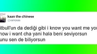 Yabancı Şarkılara Absürt Mealler Yükleyip Sosyal Medyanın Yüzünü Güldürmüş 17 Kişi