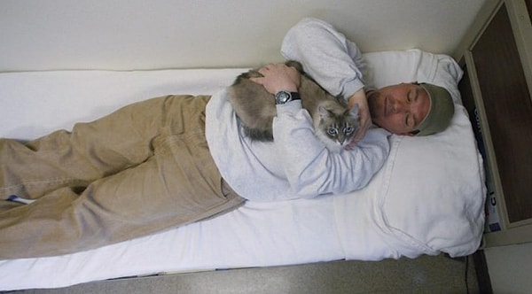 16. В тюрьме Индианы существует программа, согласно которой заключенные могут держать кошек. Создатели программы считают, что забота о питомцах поднимает настроение заключенным и помогает встать на путь исправления.