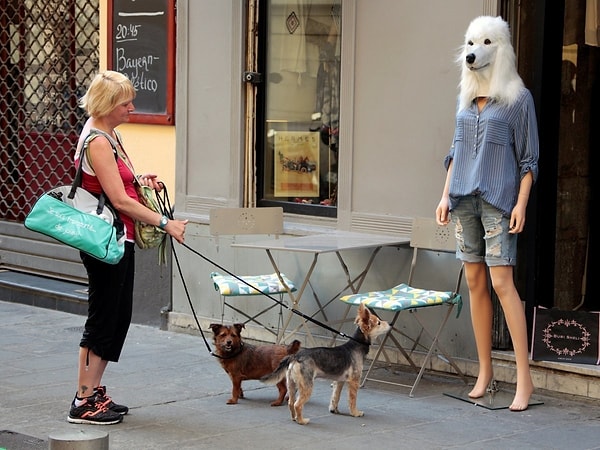 5. Бояться совершить ошибку или оказаться неправым