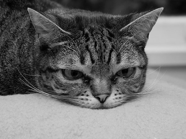 8. Быть неспособным смириться с прошлым