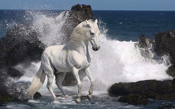 2. Основное правило жизни – не давать сломить себя ни людям, ни обстоятельствам.