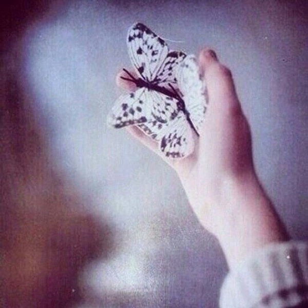 25. Отказавшись от меня однажды, больше не лезьте в мою жизнь. Никогда.