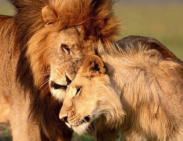 26. Цени того, кто без тебя не может. И не гонись за тем, кто счастлив без тебя.