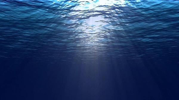 2. En büyük okyanus hangisidir?