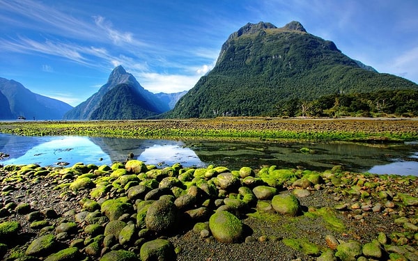 8. Новая Зеландия