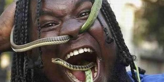 Эти 20 фактов о змеях точно повергнут вас в шок!
