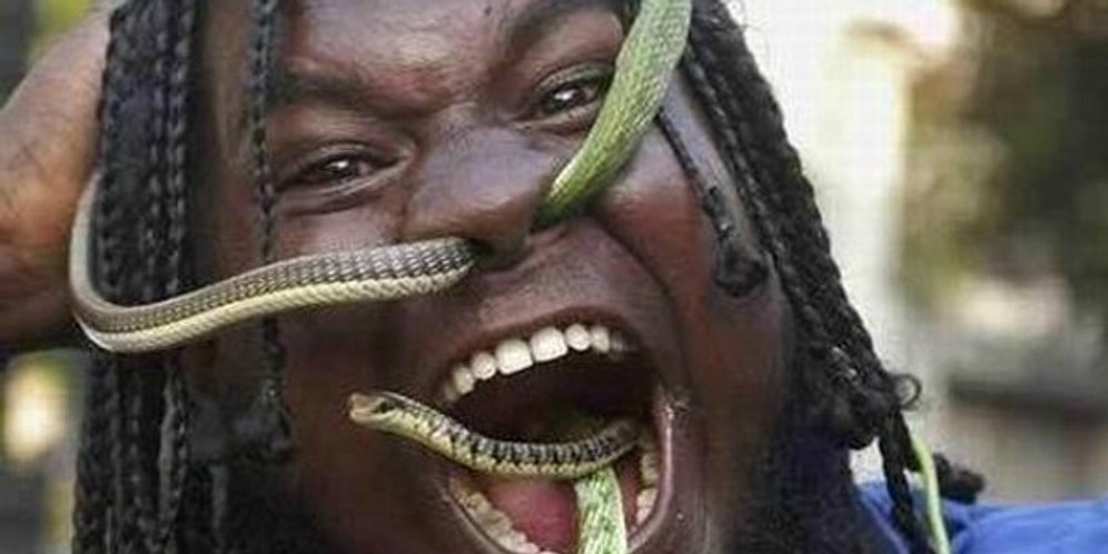 Эти 20 фактов о змеях точно повергнут вас в шок!