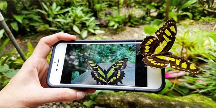 Hayvanlar Aleminden Kameralara Yansıyan Sizleri Şaşkına Çevirecek 22 Enstantane!